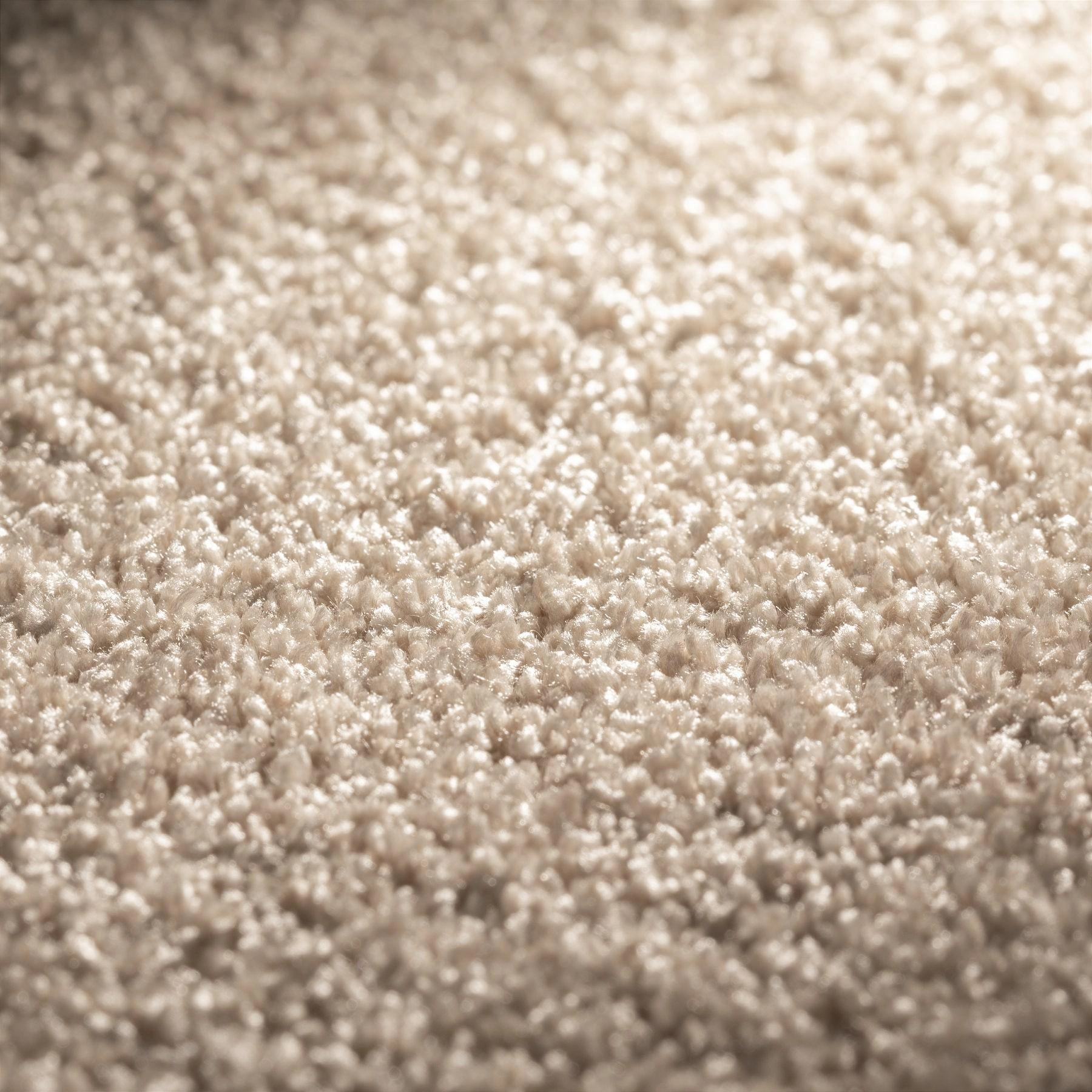 Office carpet colour swatches Dubai