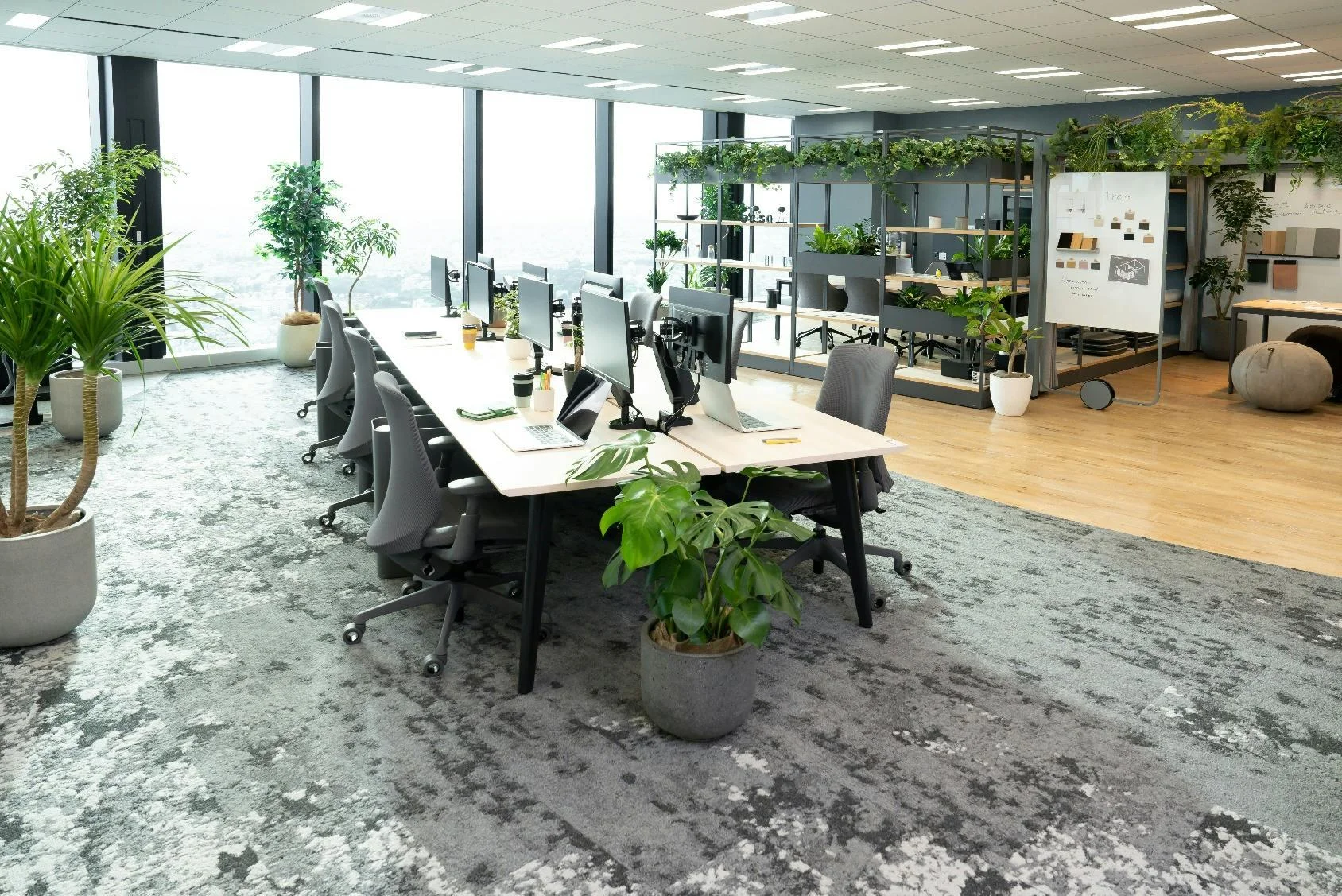 Open plan office carpets Dubai